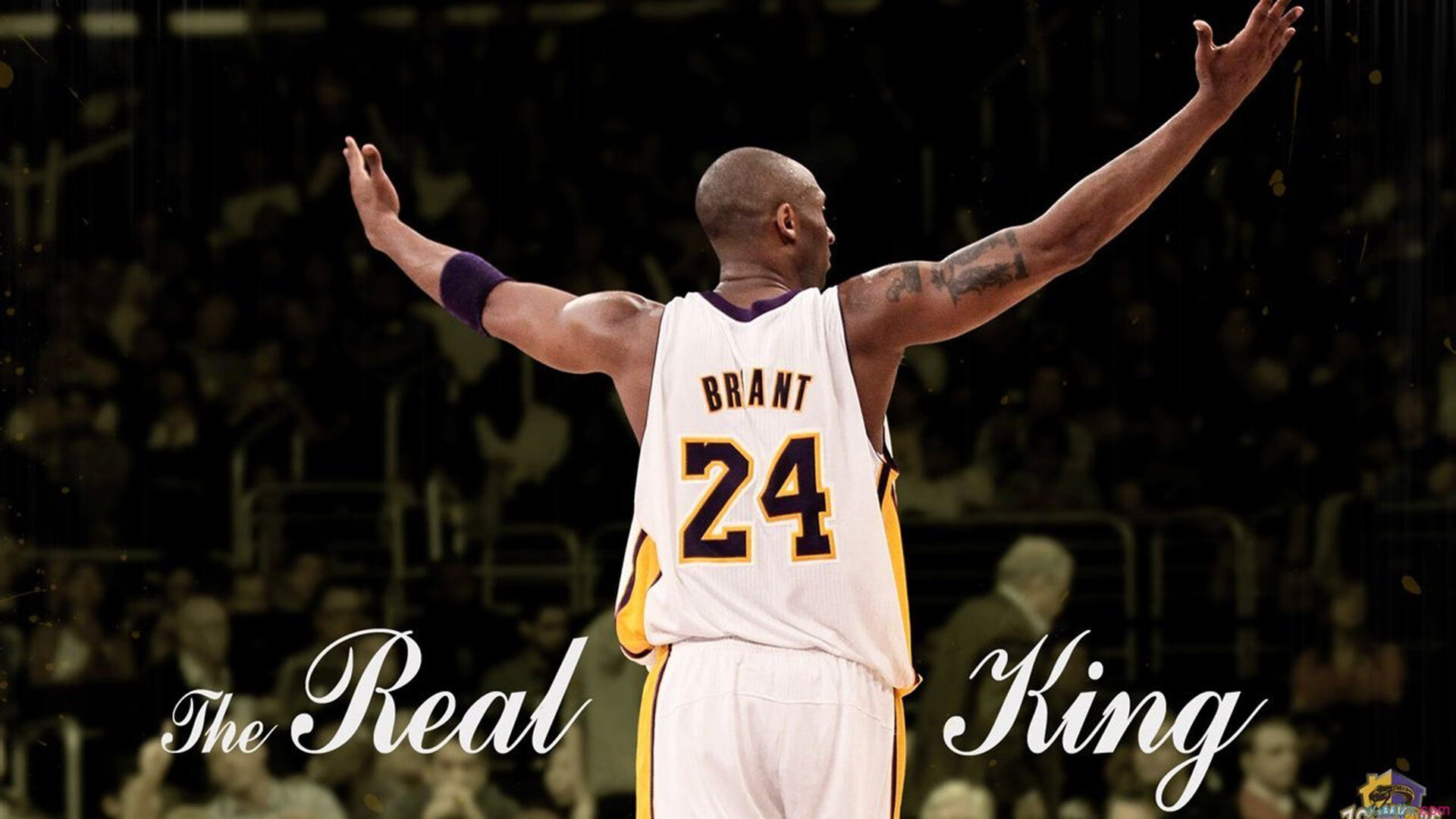 格斗UFC:超级对决震撼擂台,猛料不断!,超级格斗胜利完整版